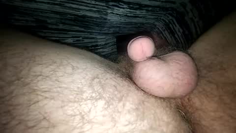 horsecock9748 online show from February 2025 09:52:02 AM