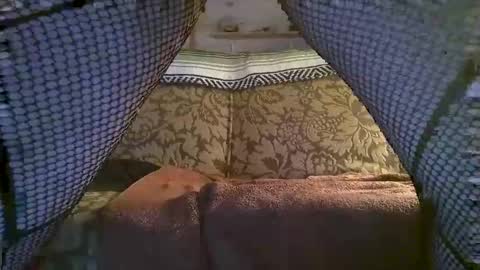 hot2nite22 online show from February 2026 10:19:02 AM