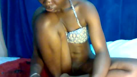 tasha online show from July 2026 03:31:02 AM