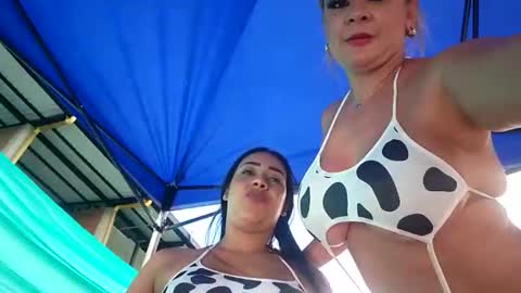 kittens online show from April 2026 09:39:33 PM