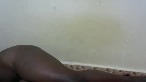 bleiz online show from February 2025 11:10:01 AM