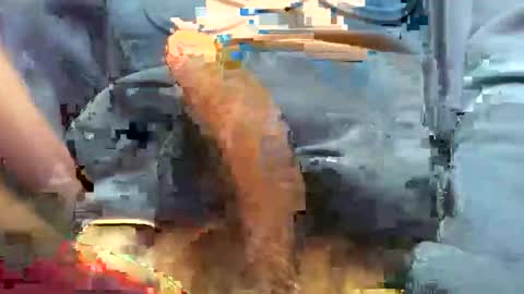 hotdick4200 online show from November 2025 06:24:01 AM