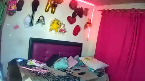 hotgui84 online show from February 2026 02:33:01 AM