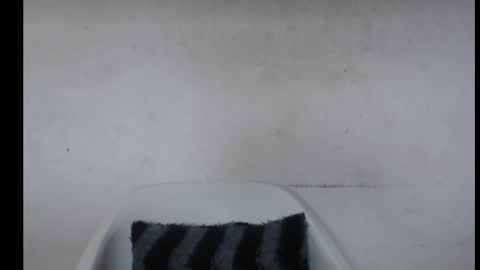 hotjessie0 online show from October 2025 05:04:02 AM