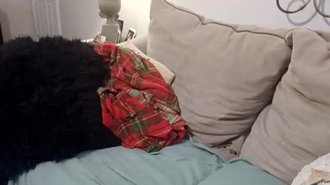 hotpepperose online show from February 2026 02:33:01 AM