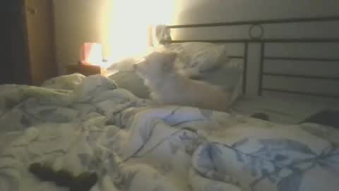 Snapshot of hottnready4u chatting on January 2025 01:26:01 PM Hottnready4u online show from January 2025 01:26:01 PM