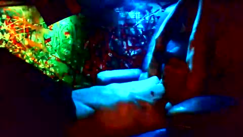 ask me online show from January 2025 11:28:02 AM