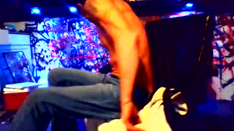 ask me online show from February 2025 12:22:02 PM