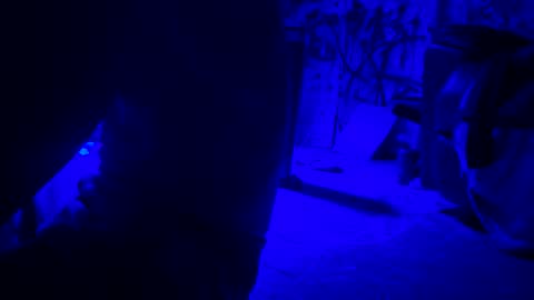 ask me online show from April 2026 01:42:02 AM