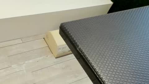 Erin online show from March 2025 07:32:02 AM