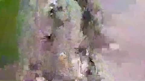Snapshot of hugexxxcummer chatting on May 2026 02:36:02 PM hugexxxcummer online show from May 2026 02:36:02 PM