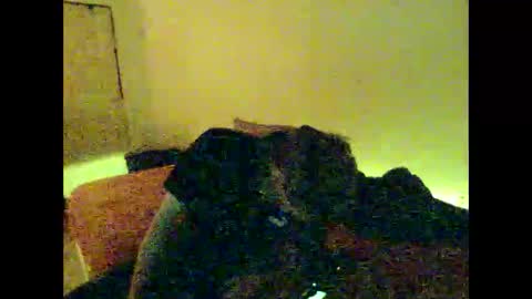 Snapshot of hugobergeron chatting on January 2025 10:49:02 AM HugoBergeron82 online show from January 2025 10:49:02 AM