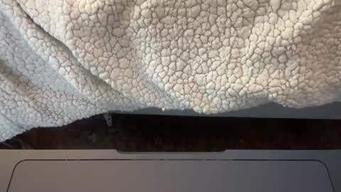 AARON online show from April 2026 12:50:02 PM