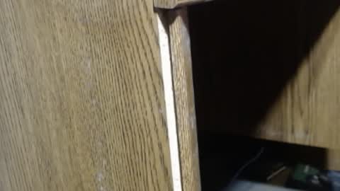 Snapshot of hungsofine chatting on December 2024 04:06:01 PM hungsofine online show from December 2024 04:06:01 PM