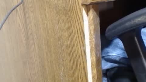 Snapshot of hungsofine chatting on December 2024 09:40:02 PM hungsofine online show from December 2024 09:40:02 PM