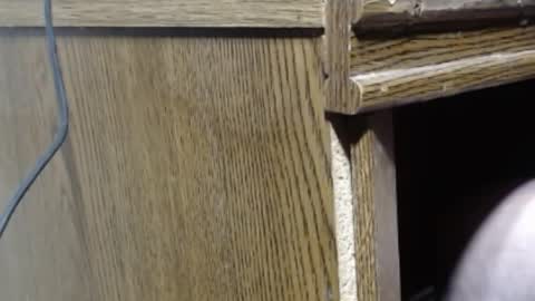 Snapshot of hungsofine chatting on December 2024 07:27:02 PM hungsofine online show from December 2024 07:27:02 PM