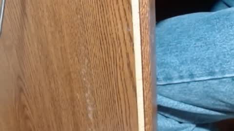 Snapshot of hungsofine chatting on January 2025 06:52:01 PM hungsofine online show from January 2025 06:52:01 PM