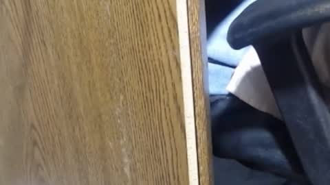 Snapshot of hungsofine chatting on January 2025 10:03:01 PM hungsofine online show from January 2025 10:03:01 PM