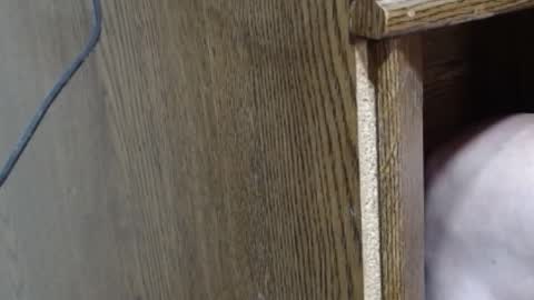 Snapshot of hungsofine chatting on February 2025 10:10:01 PM hungsofine online show from February 2025 10:10:01 PM