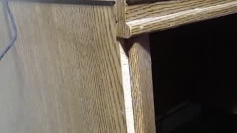 Snapshot of hungsofine chatting on February 2025 06:54:02 PM hungsofine online show from February 2025 06:54:02 PM