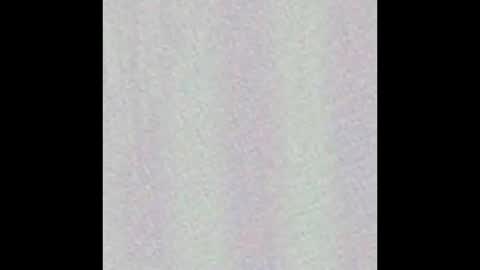 Wh8teboi online show from November 2025 10:25:02 PM