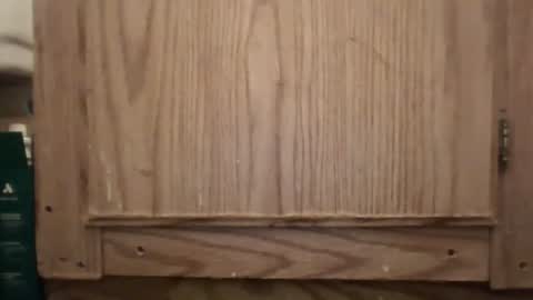 Snapshot of hybrid_lover419 chatting on February 2026 05:36:01 AM Hybrid Lover419 online show from February 2026 05:36:01 AM