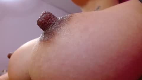 Salo  online show from February 2026 09:26:01 AM