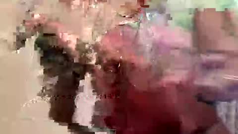 First Lady online show from February 2025 09:21:02 PM