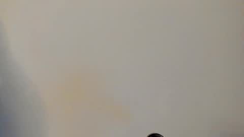 IAN CASTILLO online show from February 2026 11:08:01 AM