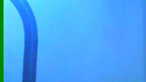 Samuel igsamuelnoguera 1333 online show from December 2024 10:35:02 PM