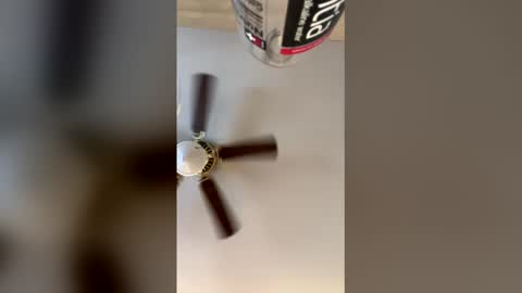 idkk_97 online show from March 2026 08:09:01 PM