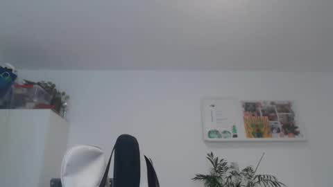 ner d online show from February 2025 08:51:02 AM