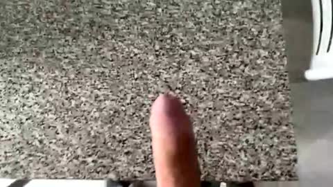 ilconte81 online show from March 2026 02:33:02 PM