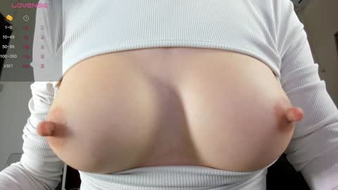 illegal_lorry online show from January 2025 05:24:01 AM