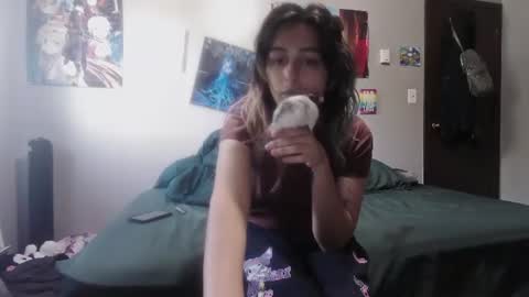 Lilly online show from July 2026 08:17:02 PM