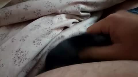 ilovepussy1974 online show from July 2026 11:28:01 AM