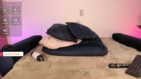 Snapshot of im_charliee chatting on January 2025 06:04:01 PM charlie online show from January 2025 06:04:01 PM