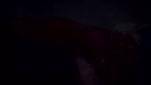 im_free_0121 online show from June 2026 10:38:02 AM