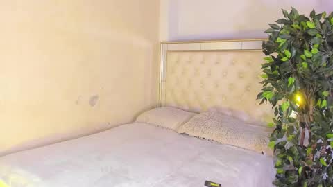 im_sebaslopez online show from February 2026 08:16:02 PM