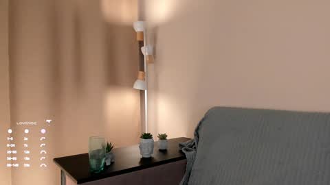 Snapshot of imjustsayingthata chatting on February 2025 06:19:01 PM imjustsayingthata online show from February 2025 06:19:01 PM