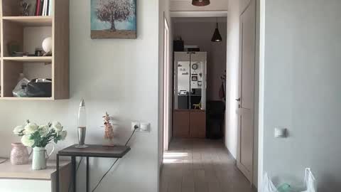 imnotall online show from November 2025 08:47:02 AM