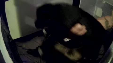 imtru online show from February 2025 04:04:02 AM