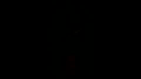 Rocco online show from December 2025 11:49:02 AM