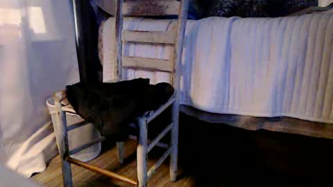 Snapshot of indicasonly chatting on January 2025 01:53:01 PM indicasonly online show from January 2025 01:53:01 PM