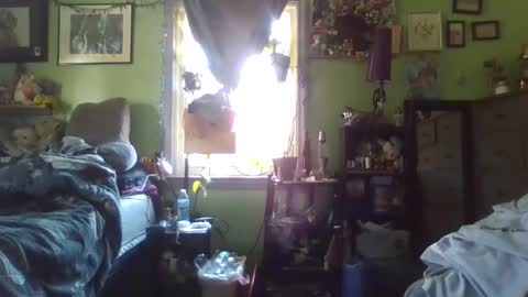 indigo_scorpio online show from February 2025 06:59:01 PM