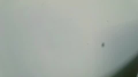 Inglorious Hairy Uncut online show from February 2025 06:54:01 AM