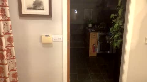 inkpiggy online show from February 2026 12:51:02 AM