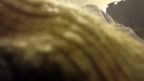 Snapshot of internationalwang chatting on March 2025 02:48:02 PM internationalwang online show from March 2025 02:48:02 PM