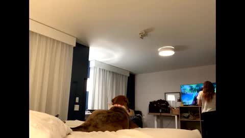 IntoTheWoodsWeGo online show from November 2025 01:51:02 AM