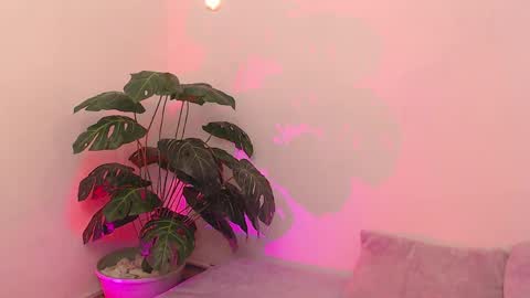 Iirs online show from April 2026 09:04:01 PM